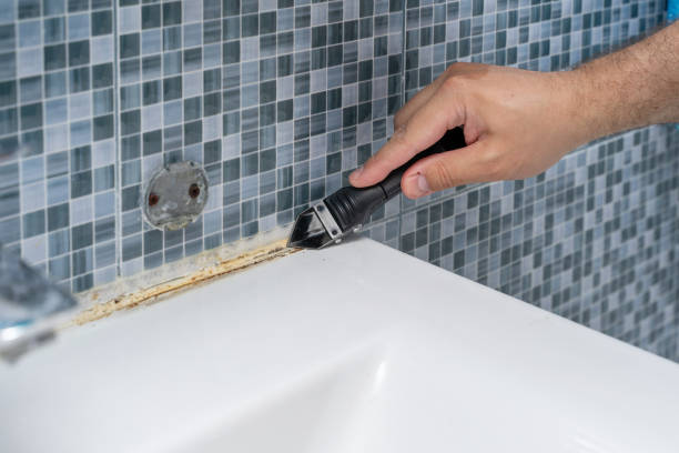 Best Mold Testing  in Panama City Beach, FL